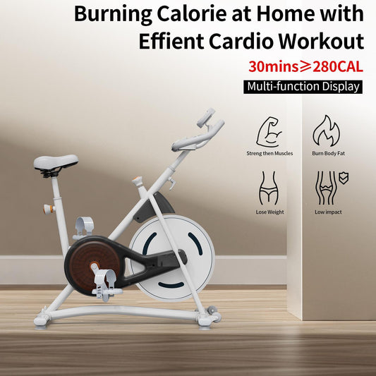 Spin Bike Home Fitness Equipment